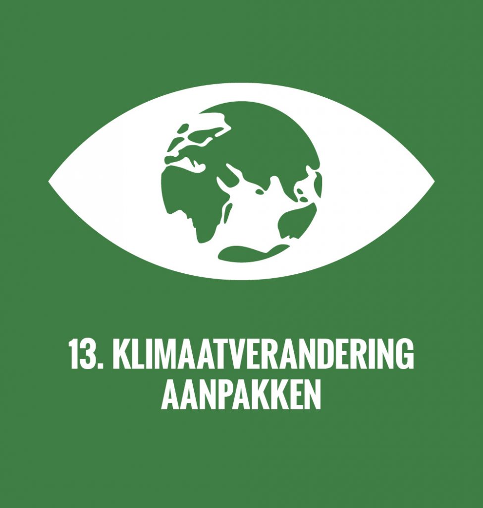 logo SDG13